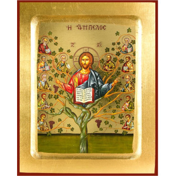 H Άμπελος του Κυρίου