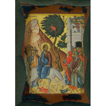 Η Βαϊοφόρος