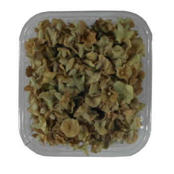 Φυτικό Φυτίλι Λουμινάκι